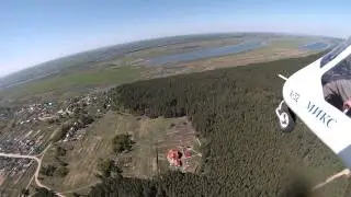 Панино