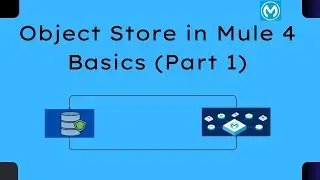Object Store Mule 4 | Basics | What is Object Store ? | Different Operations | Part 1 | Mulesoft