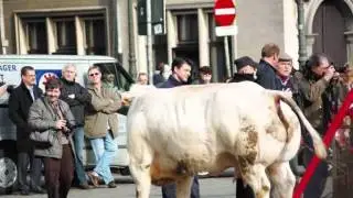 Dagje Antwerpen