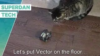 Anki Vector | Let's put Vector on the floor!
