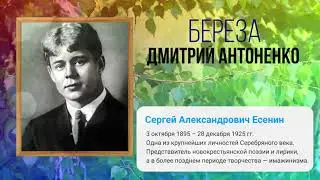 Есенин —  Береза