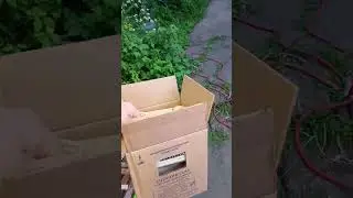 Газ для друга 😁