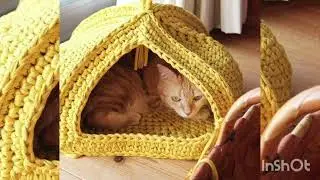 🧶Вязаные домики🧶 Для 🐈🐱💙🐶🐕.Очень удобные и красивые