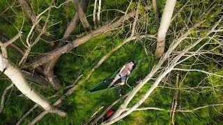 Hammocking along the fallen trees. Hookah, fire and chill.