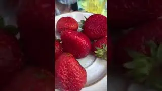 Наша клубника 🍓👍👍👍👍👍