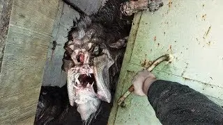 Metro 2033 Redux - ЛУЧШИЕ МОМЕНТЫ