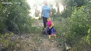 YaYa Follows Mummy Into The Forest, Left YaYa And Shally Lonely