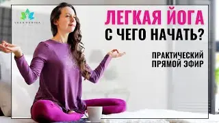 Легкая ЙОГА. С чего НАЧАТЬ ЗАНИМАТЬСЯ йогой? (Прямой эфир)