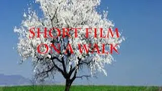 Short film on a walk