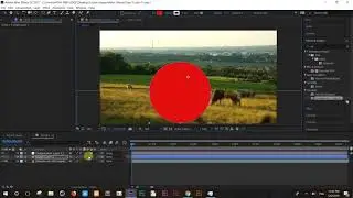 How to use adjustments layer and null objects in After Effects