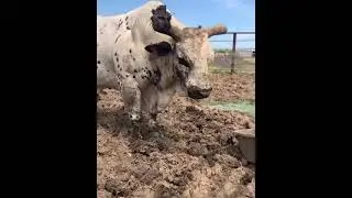 Everyone Needs a Spa Day 