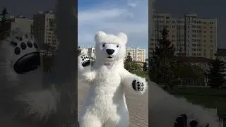 Белый мишка как ягодка малинка хочет в топ! 