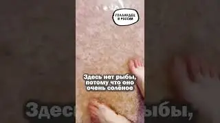 Что меня удивило в самом сказочном регионе России
