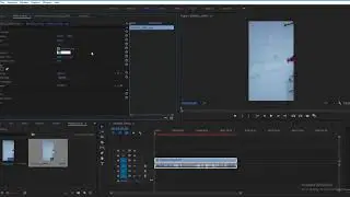 2 Steps to Rotate a Vertical Video from Your Phone in Adobe Premiere