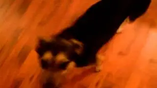 Max is happy!!!