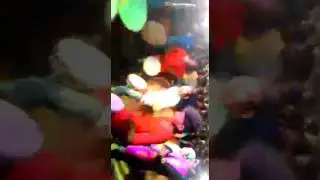 BABA DHUMAL GONDIA