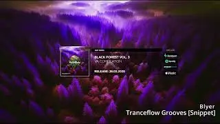 Blyer - Tranceflow Grooves [Snippet]
