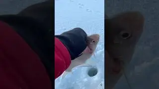 Ловля леща на Яузском водохранилище 2024! Лещ на черта ! Ночная ловля 