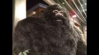 Bigfeet.mp4