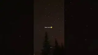 Зима уже закончилась 🥳почему грустно? 
