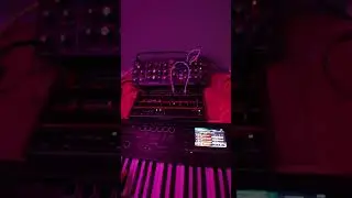 Chilled improv with Behringer Grind, Model D and Minilogue XD - POV