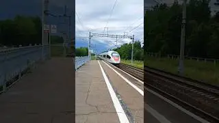 двойной сапсан летит в Москву | #рек #train #рекомендации #поезд #railway