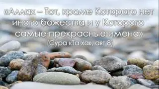 Плоды ТАУХИДА. Ринат Абу Мухаммад