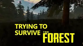 Run through The Forest.......RUN!!!!