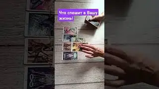 #таро