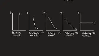 Microeconomics - Elasticity of Demand (with real life examples,)