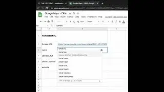 How to extract Business Data from Google Maps ?