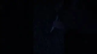 GIANT BROWN TROUT caught at 3AM!!!
