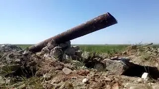 Один сигнал сделал день!