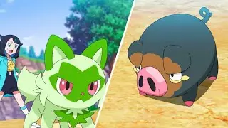 Liko(Sprigatito) vs Lechonk  - Pokemon Horizons Episode 9 | Pokemon 2023 Episode 9 AMV