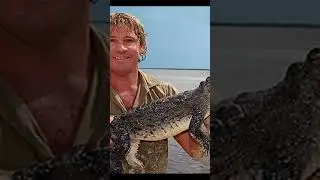 Steve Irwin dies #fact #history #onthisday #steveirwin #australia #onthisday