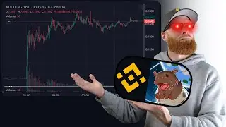 Moodeng gets Binance listing! Retire your Bloodline in the Pump Fun Era
