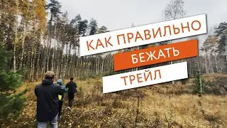 Как правильно бежать трейл | EfimovTeam