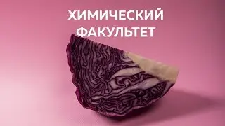 Капустник БГУ // Химический факультет