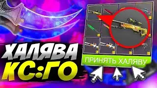 БЕСПЛАТНЫЕ СКИНЫ КС ГО 2024 / КАК ПОЛУЧИТЬ НА ХАЛЯВУ СКИНЫ CS:GO В 2024 ГОДУ