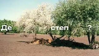 Дарія Данцева. Де мій степ?