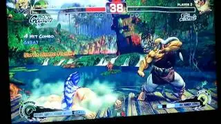 Don't Remember (Honda) v. Sanchez (Gouken)