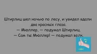 АНЕКДОТЫ ПРО РАЗВЕДЧИКА ИСАЕВА-ШТИРЛИЦА ● Анекдоты про Штирлица ● часть 2