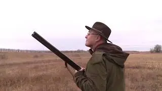 Телеканал 