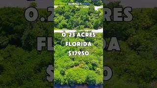 0.23 acres in Florida for $17,950 #foryou #realestate #land #shorts #florida #viral #fyp #usa