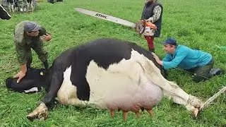 Farm 