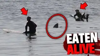 This Great White Shark DEVOURED 2 Surfers In Front of Everyone!
