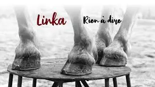 Linka - Rien à dire