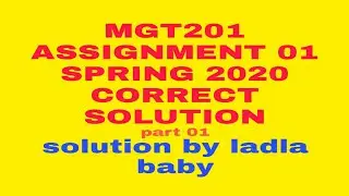 mgt201 assignment 1 spring 20202