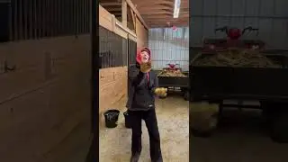 Juggling horse poop!