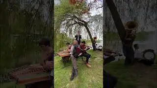 Dobranotch - Hora Lui Hanganu (E. Kroitor), accordion Ilya Shneyveys